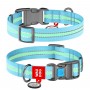 Нашийник світлонакопичуючий, пласт. фастекс, Ш 25 мм, Дл 35-58 см, Блакитний, XL, WAUDOG Nylon c QR