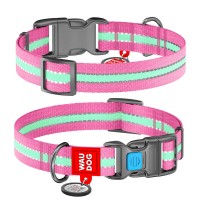 Нашийник світлонакопичуючий, L (35-58 см), Ш 25 мм, Рожевий, WAUDOG Nylon c QR