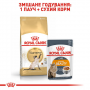 Сухий корм для котів Royal Canin (Роял Канін) Siamese Adult 2 кг