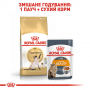 Сухой корм для котов Royal Canin (Роял Канин) Siamese Adult 2 кг