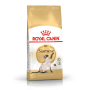 Сухий корм для котів Royal Canin (Роял Канін) Siamese Adult 2 кг