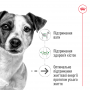 Сухий корм для собак Royal Canin (Роял Канін) Mini Ageing +12 3.5 кг