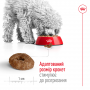 Сухий корм для собак Royal Canin (Роял Канін) Mini Ageing +12 3.5 кг