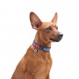 Ошейник, "Ловец снов", метал. пряжка-фастекс, Ш 25 мм, Дл 35-58 см, XL, WAUDOG Nylon c QR