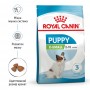 Сухий корм для щенят Royal Canin (Роял Канін) X-Small Puppy 0.5 кг