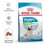 Сухий корм для щенят Royal Canin (Роял Канін) X-Small Puppy 3 кг