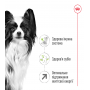 Сухой корм для собак Royal Canin (Роял Канин) X-Small Adult 8+ 0.5 кг