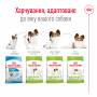 Сухой корм для собак Royal Canin (Роял Канин) X-Small Adult 8+ 0.5 кг