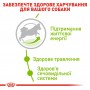 Сухий корм для собак Royal Canin (Роял Канін) X-Small Adult 8+ 1.5 кг
