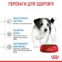 Сухий корм для щенят Royal Canin (Роял Канін) Mini Puppy 0.8 кг