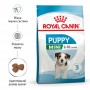 Сухий корм для щенят Royal Canin (Роял Канін) Mini Puppy 0.8 кг