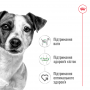 Сухий корм для собак Royal Canin (Роял Канін) Mini Adult 0.8 кг