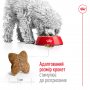 Сухий корм для собак Royal Canin (Роял Канін) Mini Adult 0.8 кг