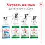 Сухий корм для собак Royal Canin (Роял Канін) Mini Adult 0.8 кг