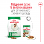 Сухий корм для собак Royal Canin (Роял Канін) Mini Adult 0.8 кг