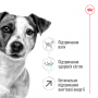Сухой корм для собак Royal Canin (Роял Канин) Mini Adult +8 2 кг