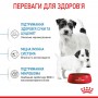 Сухой корм для щенков Royal Canin (Роял Канин) Mini Starter 1 кг