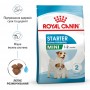 Сухой корм для щенков Royal Canin (Роял Канин) Mini Starter 1 кг