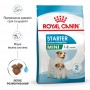 Сухий корм для щенят Royal Canin (Роял Канін) Mini Starter 8.5 кг