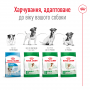 Сухий корм для собак Royal Canin (Роял Канін) Mini Ageing +12 1.5 кг