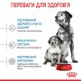 Сухий корм для цуценят Royal Canin (Роял Канін) Medium Starter 1 кг