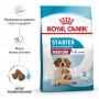 Сухий корм для цуценят Royal Canin (Роял Канін) Medium Starter 1 кг