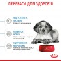 Сухий корм для цуценят Royal Canin (Роял Канін) Medium Puppy 1 кг