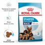 Сухий корм для щенят Royal Canin (Роял Канін) Maxi Starter 4 кг