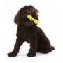 Игрушка для собак West Paw Hurley Dog Bone Orange 21 см