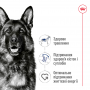 Сухий корм для собак Royal Canin (Роял Канін) Maxi Adult 5+ 4 кг