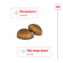Сухий корм для собак Royal Canin (Роял Канін) Maxi Adult 5+ 4 кг