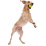 Игрушка для собак West Paw Jive Dog Ball Orange 5 см