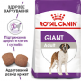 Сухой корм для собак Royal Canin (Роял Канин) Giant Adult 4 кг