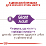 Сухой корм для собак Royal Canin (Роял Канин) Giant Adult 15 кг