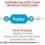 Сухий корм для щенят Royal Canin (Роял Канін) Jack Russell Terrier Puppy 1.5 кг