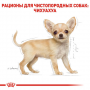 Сухой корм для щенков Royal Canin (Роял Канин) Chihuahua Puppy 0.5 кг