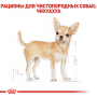 Сухий корм для собак Royal Canin (Роял Канін) Chihuahua Adult 0.5 кг