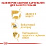 Сухой корм для собак Royal Canin (Роял Канин) Yorkshire Terrier Adult 0.5 кг