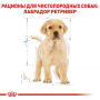 Сухий корм для щенят Royal Canin (Роял Канін) Labrador Retriever Puppy 3 кг