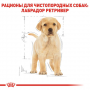 Сухий корм для щенят Royal Canin (Роял Канін) Labrador Retriever Puppy 12 кг
