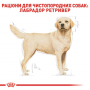 Сухий корм для собак Royal Canin (Роял Канін) Labrador Retriever Adult 12 кг