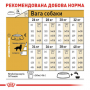 Сухий корм для собак Royal Canin (Роял Канін) Golden Retriever Adult 12 кг