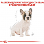 Сухий корм для щенят Royal Canin (Роял Канін) French Bulldog Puppy 1 кг
