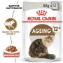 Вологий корм для котів Royal Canin (Роял Канін)  Ageing 12+ Gravy 85 г