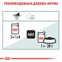 Вологий корм для котів Royal Canin (Роял Канін) Hairball Care Gravy 85 г