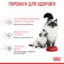 Сухой корм для кошек и котят Royal Canin (Роял Канин) Mother & Babycat 0.4 кг