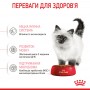 Сухой корм для котят Royal Canin (Роял Канин) Kitten 0.4 кг