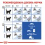 Сухой корм для котов Royal Canin (Роял Канин) Indoor 0.4 кг