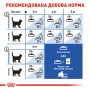 Сухий корм для котів Royal Canin (Роял Канін) Indoor 10 кг