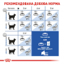 Сухой корм для котов Royal Canin (Роял Канин) Indoor 7+ 1.5 кг